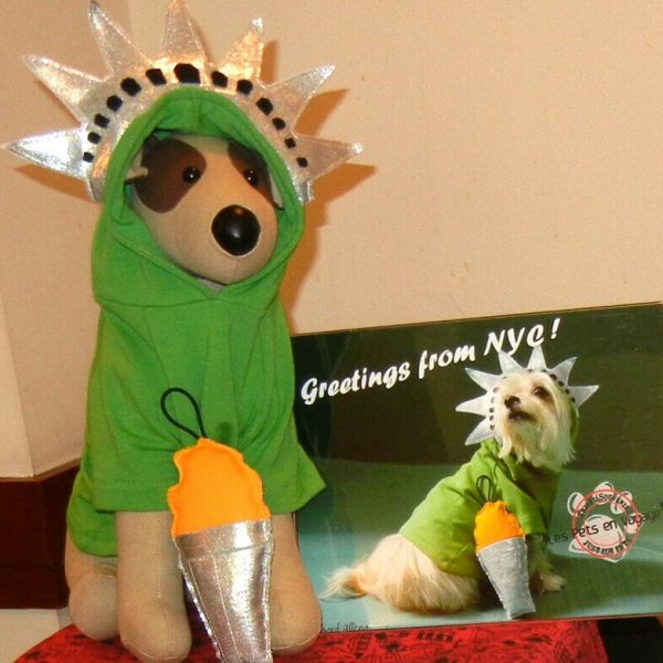Statue of Liberty Hoody & Torch Toy